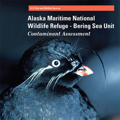 Cover of an Alaska Maritime National Wildlife Refuge brochure published for U.S. Fish and Wildlife Service; a dark bird with whips of white.