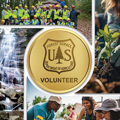 Forest Service Volunteer Program